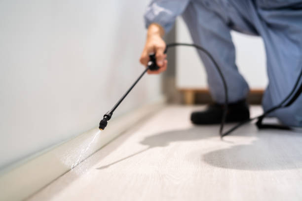 Licensed Cockroach Control service in Guyton, GA - Nex Pest Control