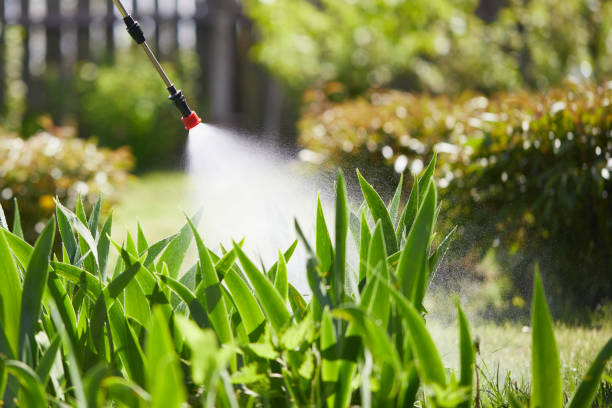 24/7 Emergency Cockroach Control experts in Guyton, GA