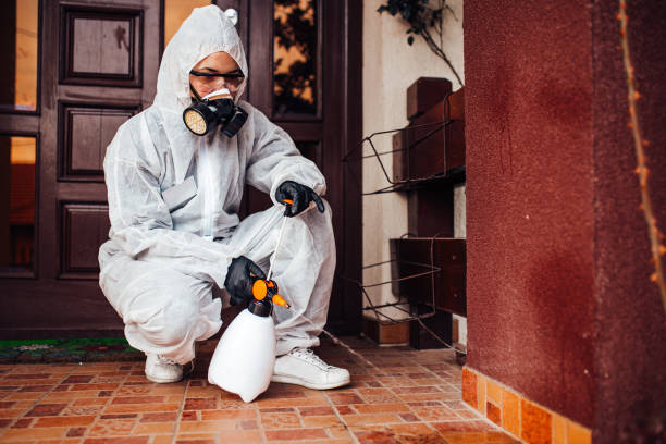 Reliable Cockroach Control contractor in Guyton, GA by Nex Pest Control